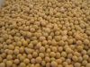 DRIED YELLOW SOYBEANS