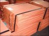 Copper Cathode For Sale