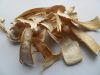 sell Matsutake