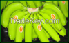 Fresh Cavendish Banana