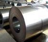 hot rolled coil/ plate