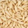 Top quality Organic Pine Nut Kernels for sale