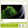 Organic Matcha green tea powder