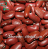 Dark Red Kidney Beans