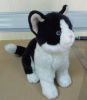 Sell plush cat