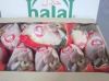 Halal Whole Frozen Chicken