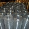 Galvanized Welded Wire Mesh