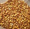 sorghum meal