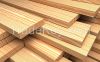 wood timber logs