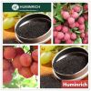 Huminrich Shenyang Super Leonardite Organic Fertilizer