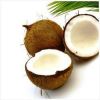 Fresh Coconut