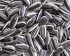 new crop sunflower seeds 5009 24/64