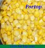 New Crop Canned Sweet Corn