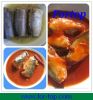 Canned Sardine Fish In Tomato Sauce/Vegetable Oil