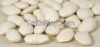 High Quality Butter Beans ready for Export