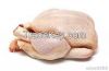 Frozen Chicken Meat