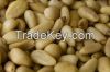 High Quality Bulk Pine Nut