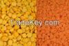 Best Grade Red Split Lentils