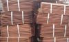 Sell Pure Copper Cathode