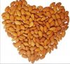 Apricot kernels