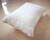 Healthy Mint Pillow