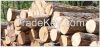 Sell Timber Wood