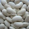 white kidney beans