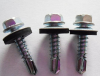 Hexagon Head Drlling Screws