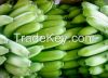 THE BEST FRESH VIETNAM CAVENDISH BANANA FOR EXPORT