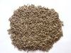 Castor Seed Meal for Organic Fertilizer & Animal Feed