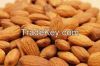 Sweet almond nuts