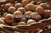 High quality walnuts