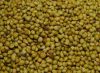 we sell all kinds of seeds like Coriander Seeds