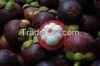 mangosteen fruit