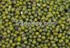 ORGANIC MUNG BEANS