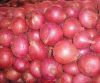 FRESH RED ONIONS/TOMATOES/CARROTS