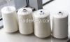 N40D/24F+SP20D Nylon Cover Yarn