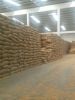 Maize | Maize Exporter | Corn Grain Seller | Maize Buyer | Bulk Maize Grain Importer | Corn bean Buyer | Corn bean Wholesaler | Corn Grain Manufacturer | Best Quality Corn Grain | Cheap Maize Supplier | Low Price Corn | Yellow Corn | White Cron | Baby Mai