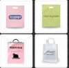 Fashional printed customized shopping bag