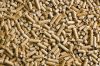 Wood Pellet for sale