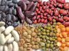 Kidney beans