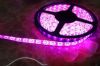 Waterproof LED Decorative Flexible Strip Light