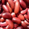 red kidney bean