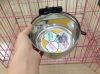 Wholesale cheap pet bowl pet feeder