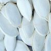 sell 2014 new snow white pumpkin seeds