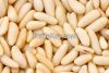 pine nuts