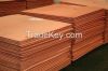 factory of Copper Cathode 99.99%