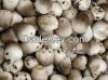 salted straw mushroom