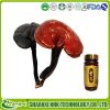 Ganoderma lucidum extract reishi extract