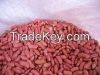 Red Speckled Kidney Beans, Dark Red Kidney Bean, Black, White and Red Kidney Beans